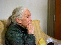 Jane Goodall Meeting