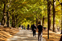 Students_Walking